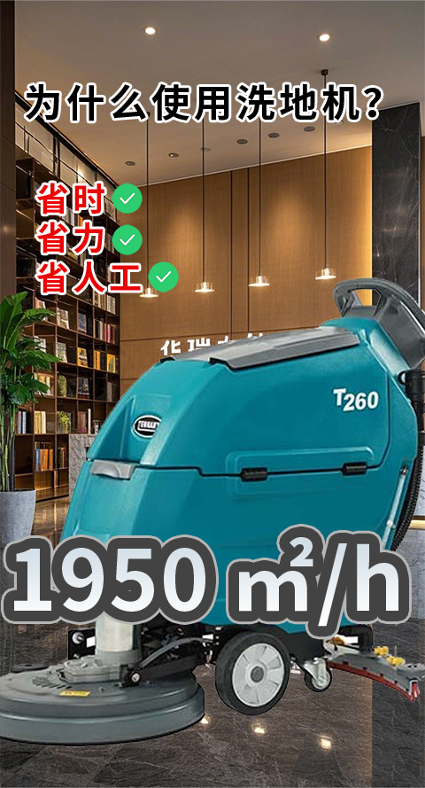 T260拼多多6.jpg